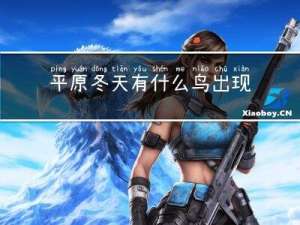 平原冬天有什么鸟出现