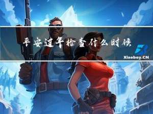 平安过年检查什么时候