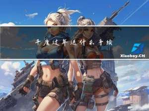 平度过年送什么手续