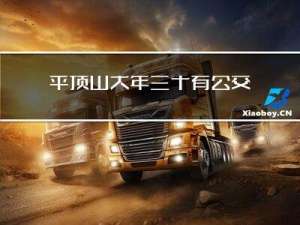 平顶山大年三十有公交吗