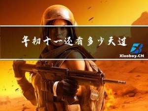 年初十一还有多少天过年