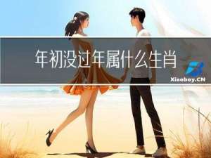 年初没过年属什么生肖
