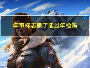 年审标志撕了能过年检吗