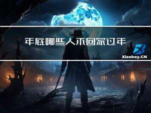 年底哪些人不回家过年