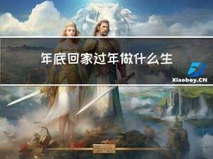 年底回家过年做什么生意好