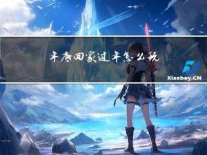 年底回家过年怎么玩