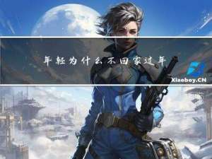 年轻为什么不回家过年呢