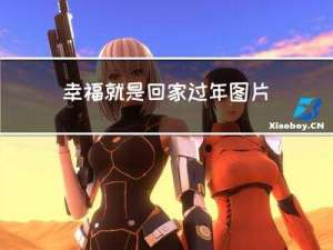 幸福就是回家过年图片大全