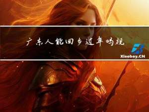 广东人能回乡过年吗视频