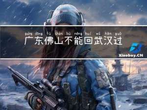 广东佛山不能回武汉过年吗