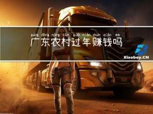 广东农村过年赚钱吗