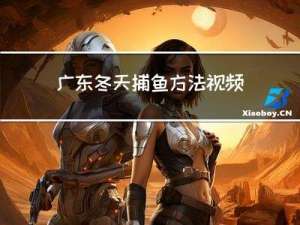 广东冬天捕鱼方法视频