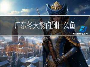 广东冬天能钓到什么鱼种