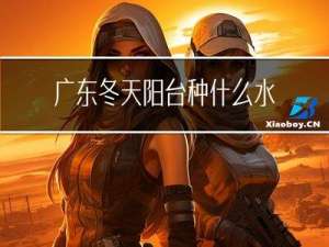 广东冬天阳台种什么水果