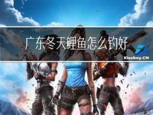 广东冬天鲤鱼怎么钓好