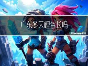 广东冬天鲤鱼长吗