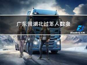 广东回湖北过年人数多吗