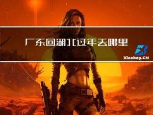 广东回湖北过年去哪里最好