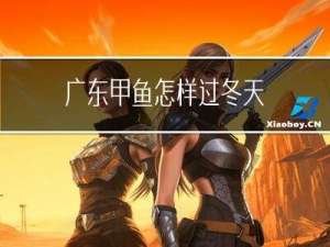 广东甲鱼怎样过冬天