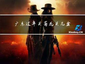 广东过年买菊花买几盆