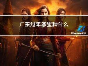 广东过年家里种什么
