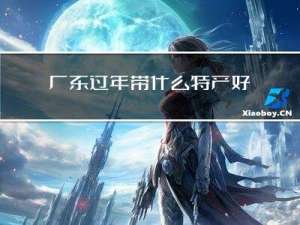 广东过年带什么特产好