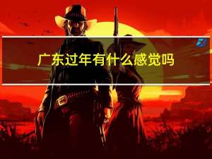 广东过年有什么感觉吗