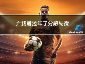 广场舞过年了分解与演示