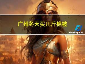 广州冬天买几斤棉被