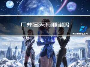 广州冬天有麻雀吗