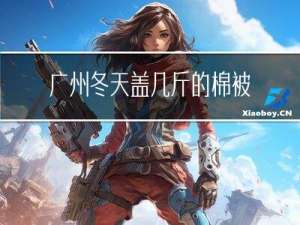 广州冬天盖几斤的棉被