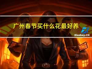 广州春节买什么花最好养