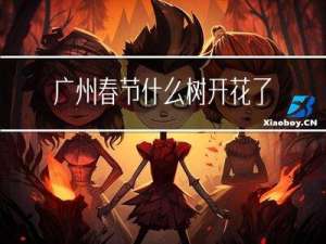 广州春节什么树开花了