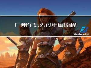 广州车怎么过年审流程