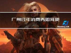 广州过年消费券如何使用