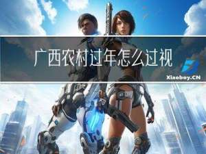 广西农村过年怎么过视频
