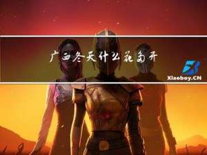 广西冬天什么花多开