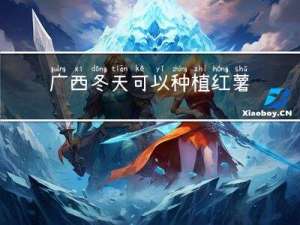 广西冬天可以种植红薯吗