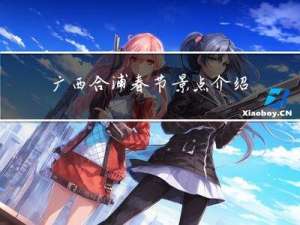 广西合浦春节景点介绍