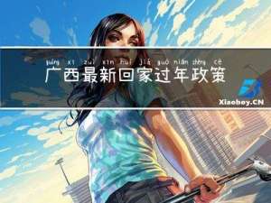 广西最新回家过年政策文件