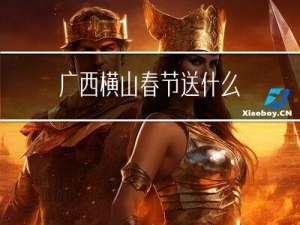 广西横山春节送什么