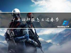 广西的壮族怎么过春节作文