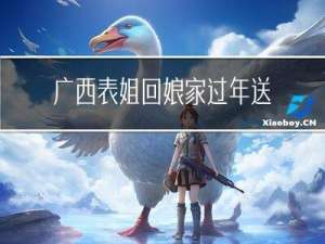 广西表姐回娘家过年送什么