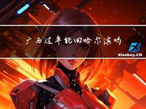 广西过年能回哈尔滨吗现在