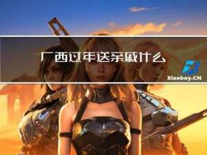 广西过年送亲戚什么