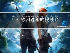 广西钦州过年的视频介绍