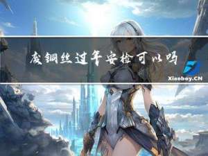 废铜丝过年安检可以吗