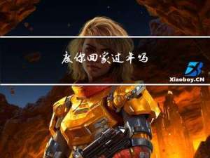 度你回家过年吗