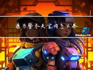 康乃馨冬天室内怎么养活