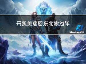 开凯美瑞回东北家过年好吗